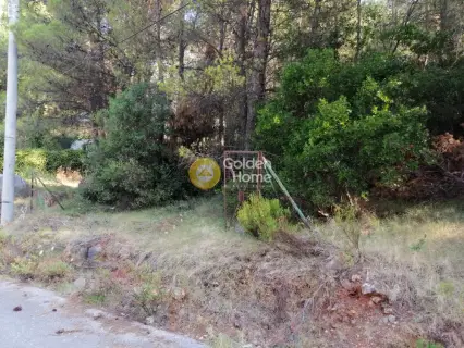 Residential 776m<sup>2</sup> for sale photo 6
