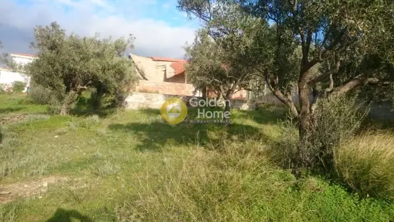 Residential 1500m<sup>2</sup> for sale photo 3