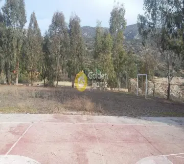 Professional Plot 30000m<sup>2</sup> for sale photo 1