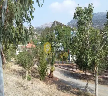 Professional Plot 30000m<sup>2</sup> for sale photo 2