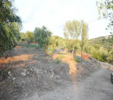 Residential 8000m<sup>2</sup> for sale photo 1580872