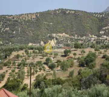 Residential 8000m<sup>2</sup> for sale photo 1580873