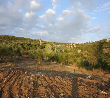 Residential 8000m<sup>2</sup> for sale photo 1580874