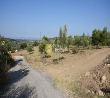 Residential 8000m<sup>2</sup> for sale photo 1580875
