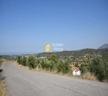 Residential 8000m<sup>2</sup> for sale photo 1580869