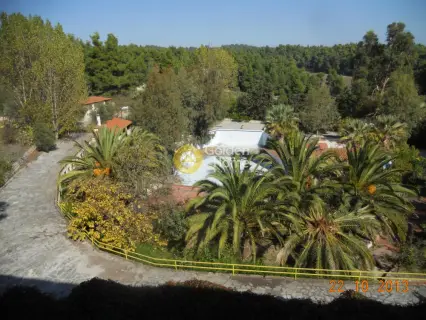 Hotel 30000m<sup>2</sup> for sale photo 1