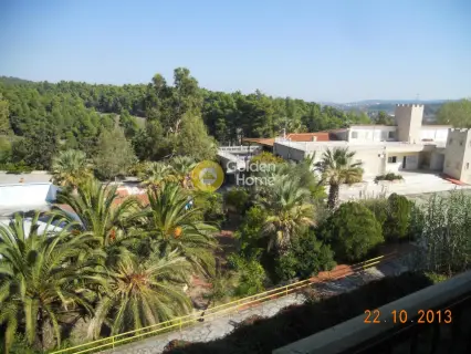 Hotel 30000m<sup>2</sup> for sale photo 3