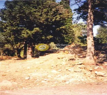 Residential 1250m<sup>2</sup> for sale photo 1582191
