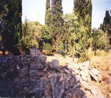Residential 1250m<sup>2</sup> for sale photo 1582194