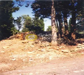 Residential 1250m<sup>2</sup> for sale photo 1582193
