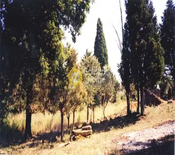 Residential 1250m<sup>2</sup> for sale photo 1582199