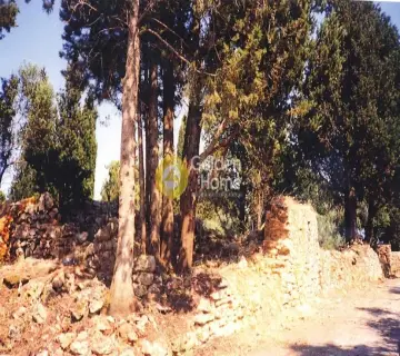 Residential 1250m<sup>2</sup> for sale photo 1582187