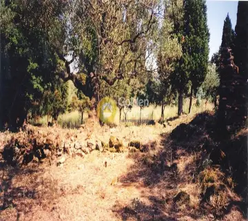 Residential 1250m<sup>2</sup> for sale photo 1582185