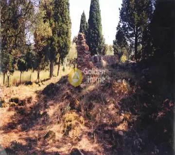 Residential 1250m<sup>2</sup> for sale photo 1582186