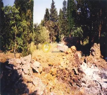Residential 1250m<sup>2</sup> for sale photo 1582188