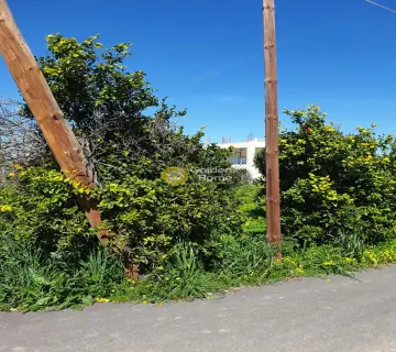 Residential 500m<sup>2</sup> for sale photo 4