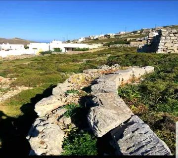 Area 1650m<sup>2</sup> for sale photo 1594859