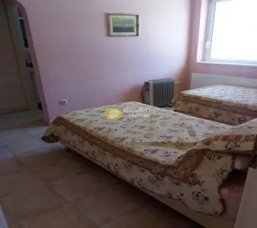 Οικιστικό 11000τ.μ. προς πώληση φωτογραφία 5