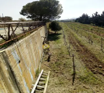 Οικιστικό 11000τ.μ. προς πώληση φωτογραφία 33