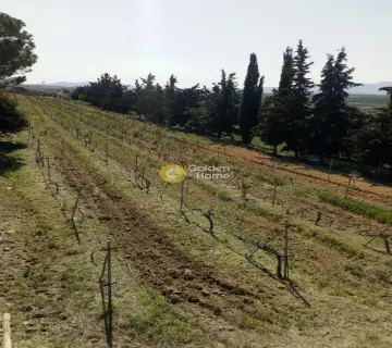 Οικιστικό 11000τ.μ. προς πώληση φωτογραφία 35
