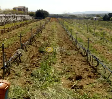 Οικιστικό 11000τ.μ. προς πώληση φωτογραφία 36