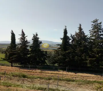 Οικιστικό 11000τ.μ. προς πώληση φωτογραφία 38