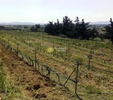 Οικιστικό 11000τ.μ. προς πώληση φωτογραφία 42