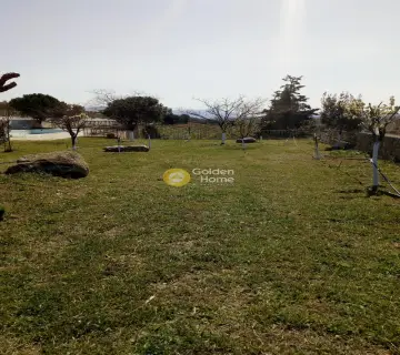 Οικιστικό 11000τ.μ. προς πώληση φωτογραφία 43