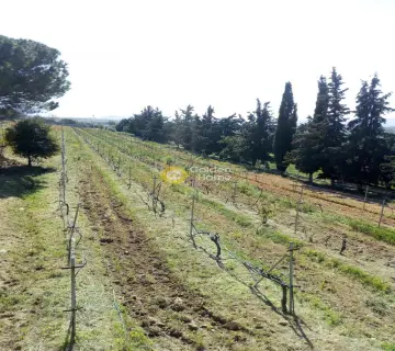 Οικιστικό 11000τ.μ. προς πώληση φωτογραφία 45