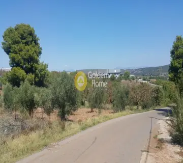 Βιομηχανικός - Βιοτεχνικός Χώρος 8890τ.μ. προς πώληση φωτογραφία 2