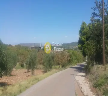 Βιομηχανικός - Βιοτεχνικός Χώρος 8890τ.μ. προς πώληση φωτογραφία 3
