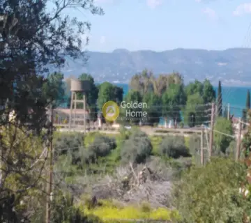 Οικιστικό 3480τ.μ. προς πώληση φωτογραφία 1605179