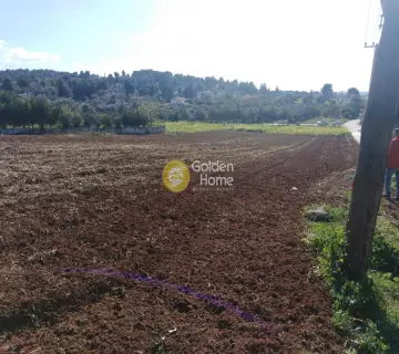 Οικιστικό 3480τ.μ. προς πώληση φωτογραφία 1605183