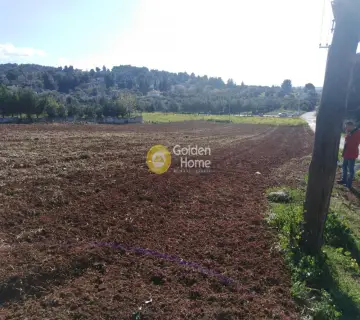 Οικιστικό 3480τ.μ. προς πώληση φωτογραφία 1605184