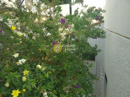 Μονοκατοικία 350τ.μ. προς πώληση φωτογραφία 82