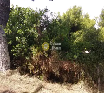 Αγροτεμάχιο 563τ.μ. προς πώληση φωτογραφία 5