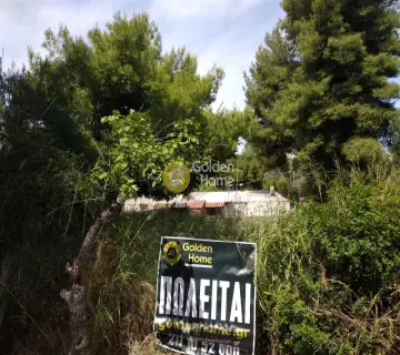 Αγροτεμάχιο 563τ.μ. προς πώληση φωτογραφία 7