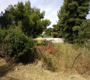 Αγροτεμάχιο 563τ.μ. προς πώληση φωτογραφία 8
