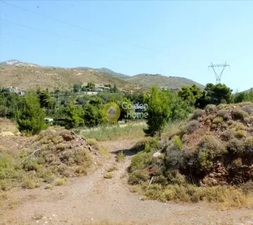 Professional Plot 22000m<sup>2</sup> for sale photo 1628566