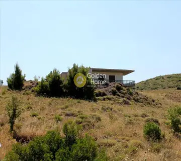 Professional Plot 22000m<sup>2</sup> for sale photo 1628566