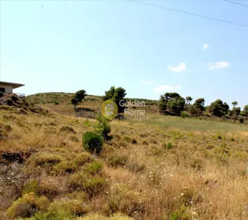 Professional Plot 22000m<sup>2</sup> for sale photo 1628567