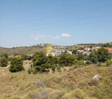 Professional Plot 22000m<sup>2</sup> for sale photo 1628568