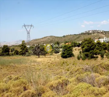 Professional Plot 22000m<sup>2</sup> for sale photo 1628568