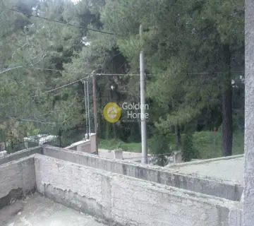 Μεζονέτα Ανεξάρτητη 350τ.μ. προς πώληση φωτογραφία 13