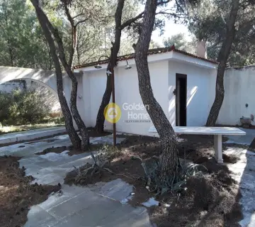Residence complex 230m<sup>2</sup> for sale photo 15