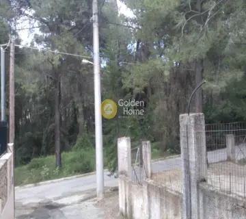 Μεζονέτα Ανεξάρτητη 350τ.μ. προς πώληση φωτογραφία 4