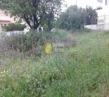 Residential 600m<sup>2</sup> for sale photo 4