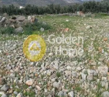住宅 4015m<sup>2</sup> for sale photo 1628281