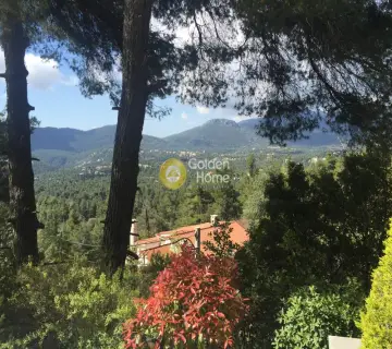 Μεζονέτα Εφαπτόμενη 330τ.μ. προς πώληση φωτογραφία 37