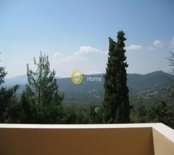 Μεζονέτα Εφαπτόμενη 270τ.μ. προς πώληση φωτογραφία 21